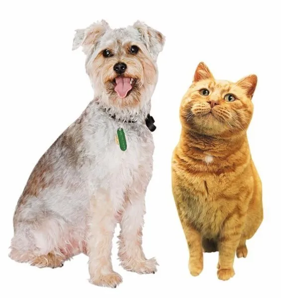 Business 2 image CONTACT INDUSTRIAL RECRUITMENT LTD