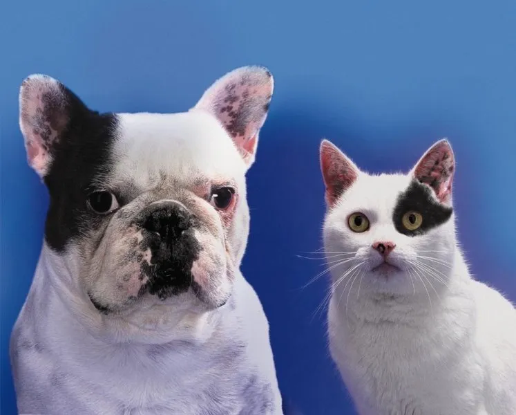 Business 1 image CONTACT INDUSTRIAL RECRUITMENT LTD