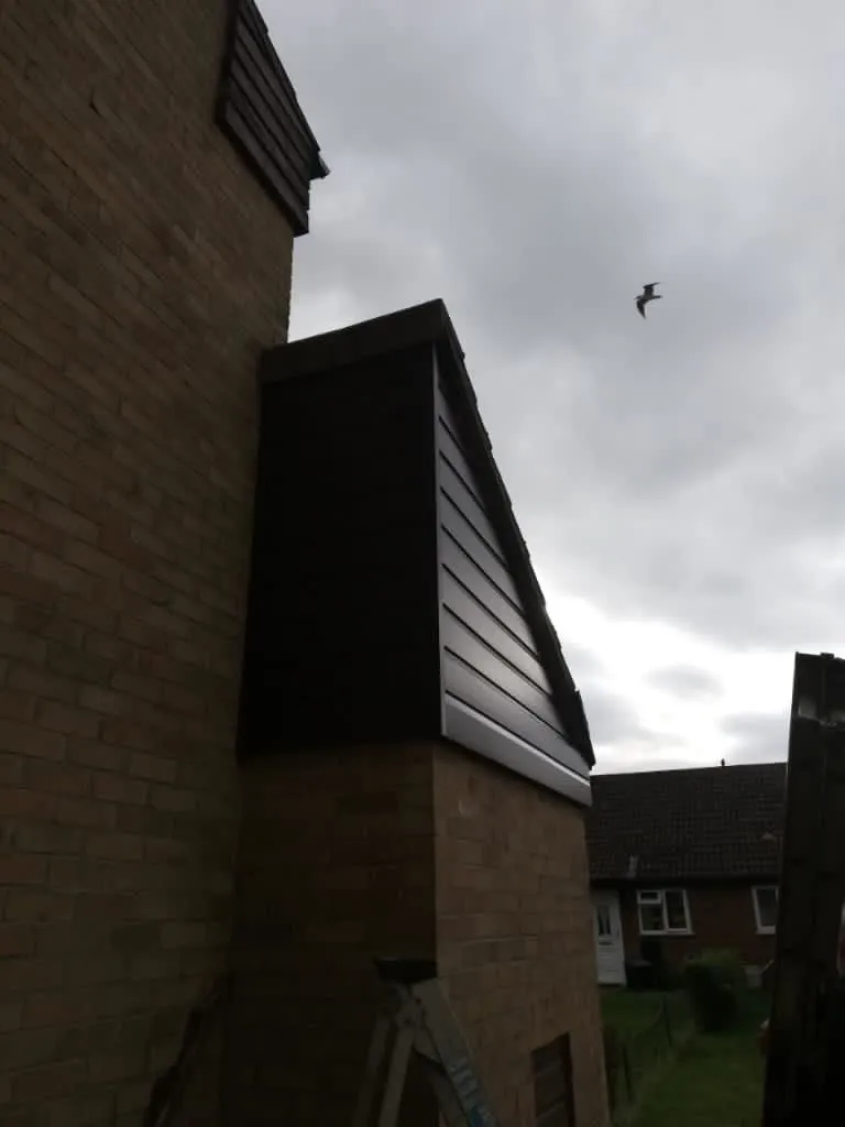 Business 4 image GOLDEN TRIANGLE BUILDERS