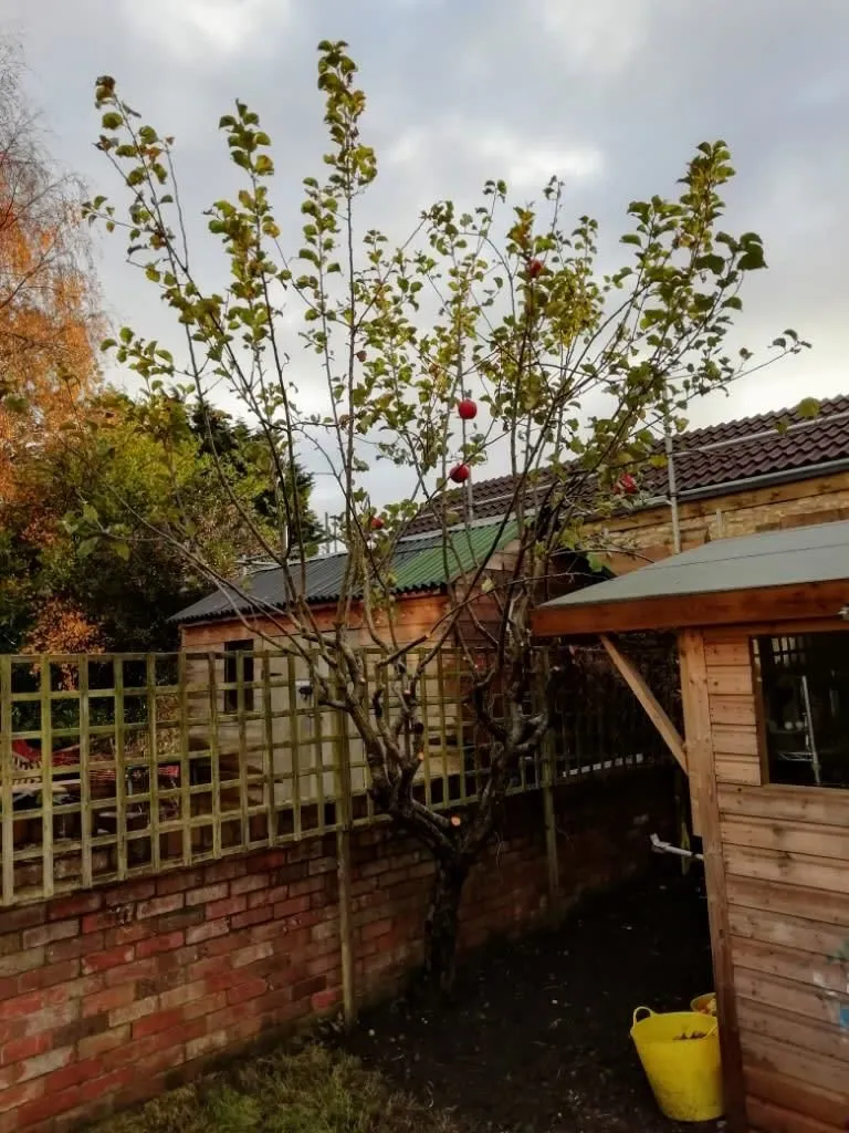 Business 11 image WEBSTER GARDENING LTD