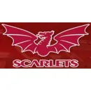 SCARLETS REGIONAL LIMITED Team Sports in Llanelli Dy