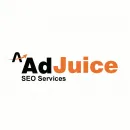 ADJUICE SEO SERVICES Internet Services in Camberley Su