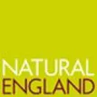 ENGLISH NATURE