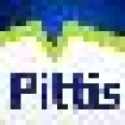 PITTIS ESTATE AGENTS - PURLEY