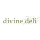 DIVINE DELI SUPPLIES LTD