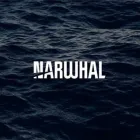 NARWHAL MEDIA GROUP