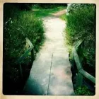 CITY OF LONDON THERAPY