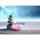 FOCUS CLARITY COACHING