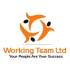 WORKING TEAM LTD