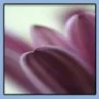 COUNSELLING, TUITION & WEB DESIGN WITH CAROLINE KENT