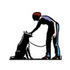 ON TRACK DOG TRAINING SCHOOL