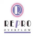 REPRO OVERFLOW