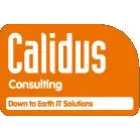 CALIDUS CONSULTING