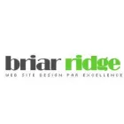 BRIAR RIDGE WEB DESIGN