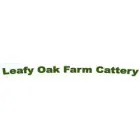 LEAFY OAK FARM CATTERY BLACKWATER